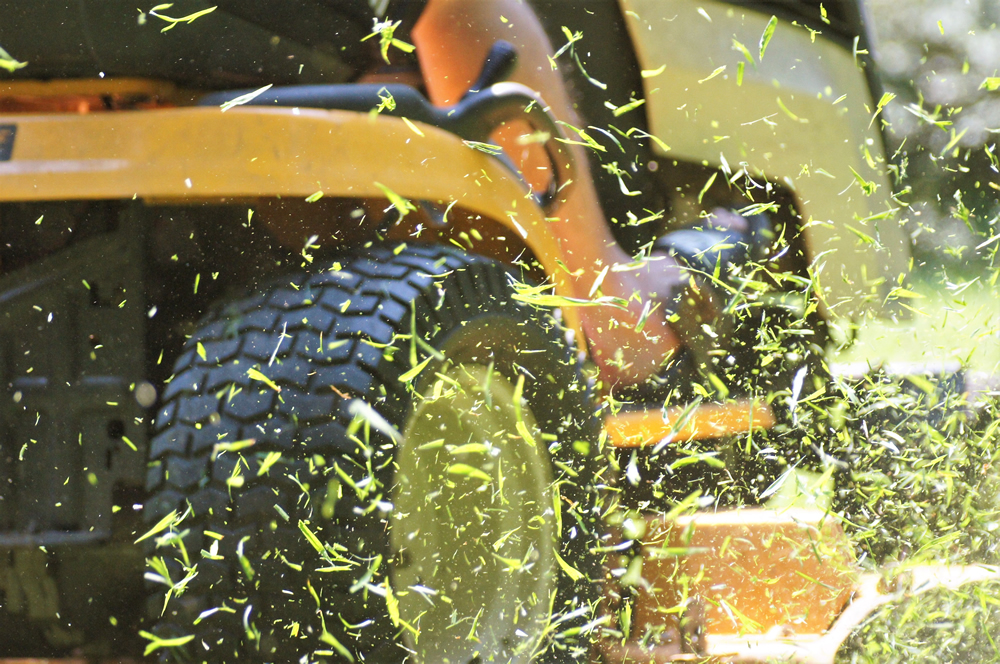 grass clippings